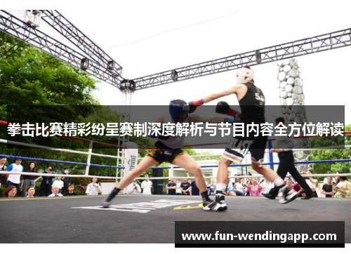 拳击比赛精彩纷呈赛制深度解析与节目内容全方位解读