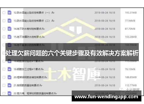 处理欠薪问题的六个关键步骤及有效解决方案解析